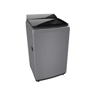 Bosch 8.0 Kg 5 Star Fully Automatic Top-Load Washing Machine(BOSWOE802D7IN)