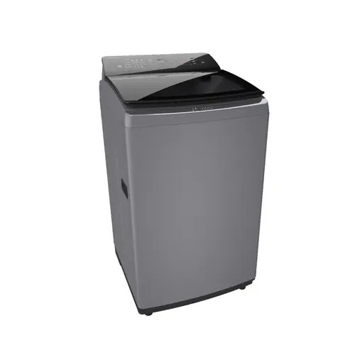 Bosch 8.0 Kg 5 Star Fully Automatic Top-Load Washing Machine(BOSWOE802D7IN)