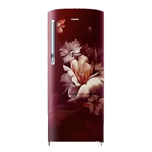 Samsung 183 L 5 Star Direct Cool Single Door Refrigerator(SAMRR20D2725RZ)