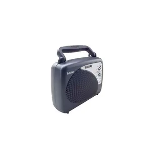 Philips DL167 FM Radio(PHIDL167)